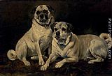 Pugs